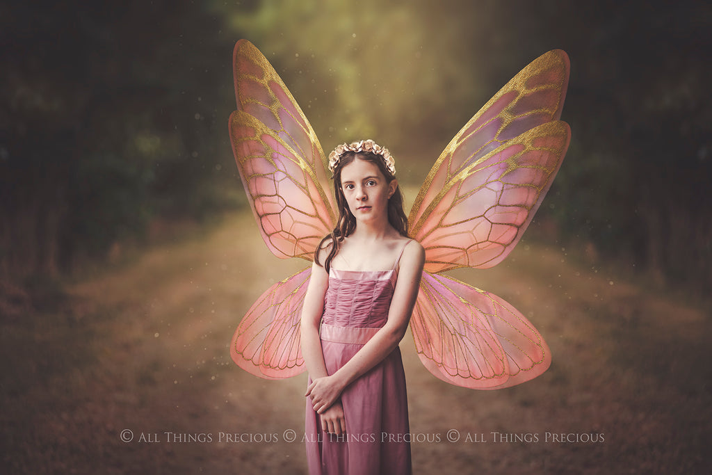 Digital Overlays for Photographers, Graphic design, scrapbooking and creatives.. Fairy Wings. High resolution, fine art digital assets for creating fantasy art.  Png overlay with transparent background. Magical Edit. Png Photo editing art assets.