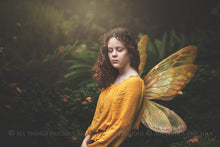 Load image into Gallery viewer, Digital Faery Wing Overlays! Fairy wings, Png overlays for photoshop. Photography editing. High resolution, 300dpi fairy wings. Overlays for photography. Digital stock and resources. Graphic design. Fairy Photos. Colourful Fairy wings. Faerie Wings.
