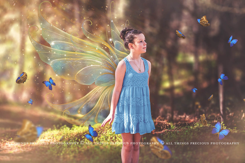 Fairy Wings Overlays For Photography, Photoshop, Digital art and Creatives. Transparent, high resolution wings for photographers. These are gorgeous PNG overlays for fantasy digital art and Child portraiture. colour, White fairy wings. Photo Overlays. Digital download. Graphic effects. ATP Textures