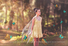 Load image into Gallery viewer, 30 Png FAIRY WING Overlays - VARIETY BUNDLE 6
