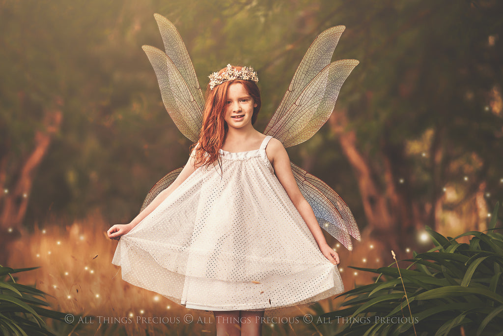 Digital Faery Wing Overlays! Fairy wings, Png overlays for photoshop. Photography editing. High resolution, 300dpi fairy wings. Overlays for photography. Digital stock and resources. Graphic design. Fairy Photos. Colourful Fairy wings. Faerie Wings.