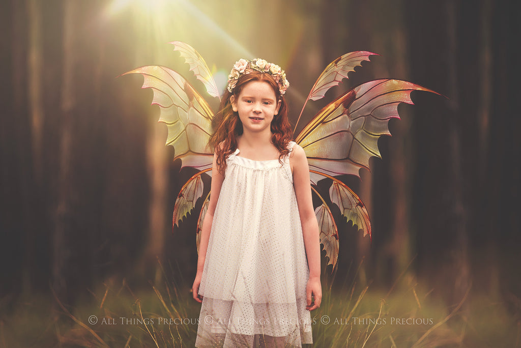 Fairy Wings Overlays For Photography, Photoshop, Digital art and Creatives. Transparent, high resolution wings for photographers. These are gorgeous PNG overlays for fantasy digital art and Child portraiture. colour, White fairy wings. Photo Overlays. Digital download. Graphic effects. ATP Textures