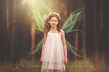 Load image into Gallery viewer, 30 Png FAIRY WING Overlays - VARIETY PACK 4
