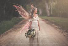Load image into Gallery viewer, Digital Faery Wing Overlays. Png overlays for photoshop. Photography editing. High resolution, 300dpi fairy wings. Overlays for photography. Digital stock and resources. Graphic design. Fairy Photos. Colourful Fairy wings. Faerie Wings. ATP Textures. Overlays. Actions, Textures, Photo Resources, Photoshop. 
