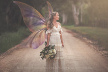 Load image into Gallery viewer, 20 Png FAIRY WING Overlays Set 29

