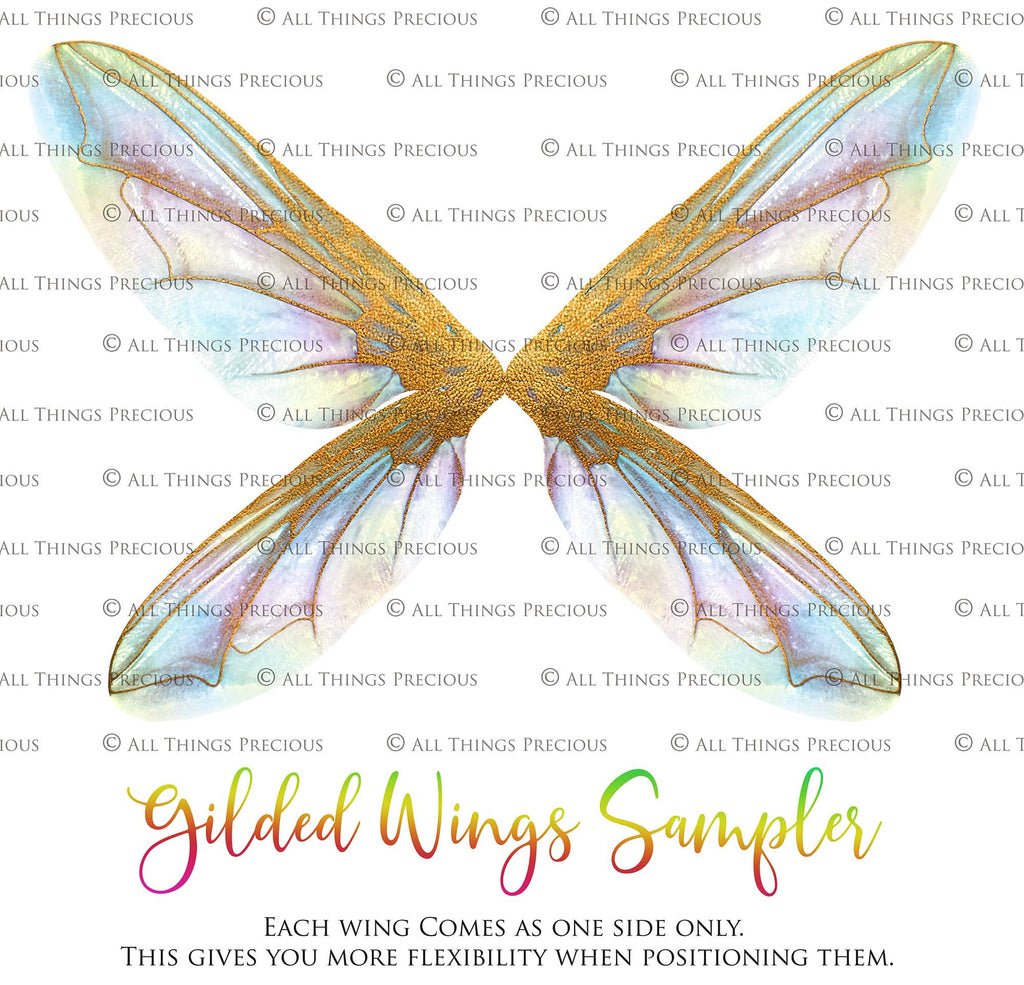 Digital Overlays for Photographers, Graphic design, scrapbooking and creatives.. Fairy Wings. High resolution, fine art digital assets for creating fantasy art.  Png overlay with transparent background. Magical Edit. Png Photo editing art assets.