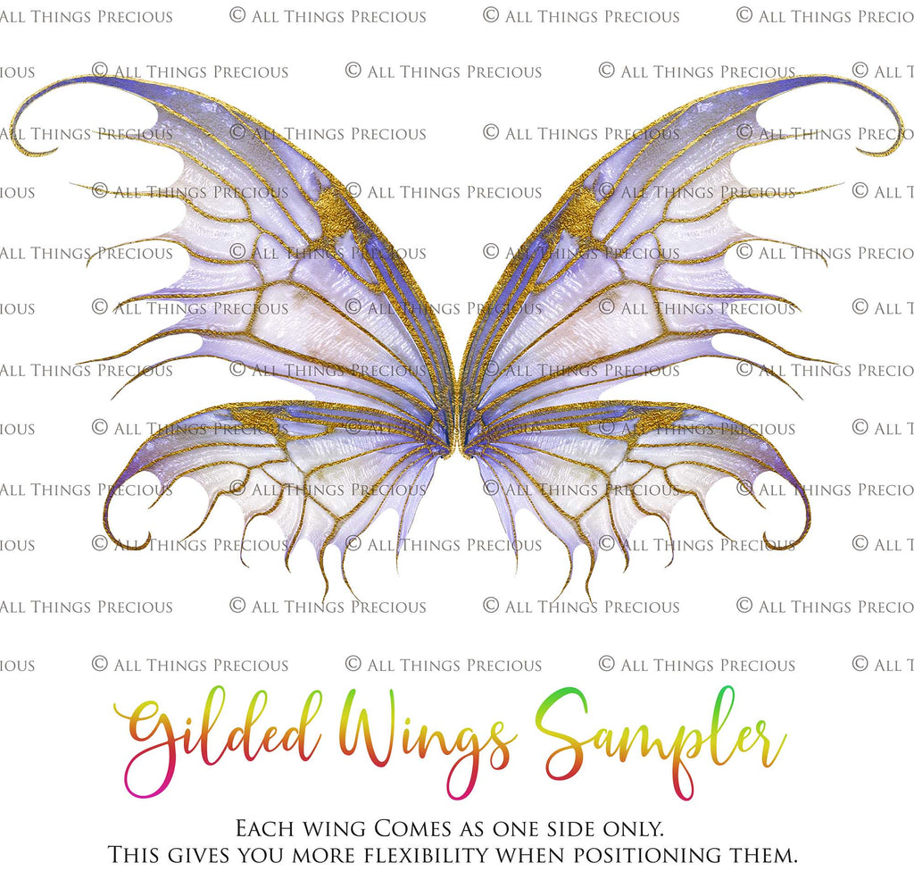 Digital Overlays for Photographers, Graphic design, scrapbooking and creatives.. Fairy Wings. High resolution, fine art digital assets for creating fantasy art.  Png overlay with transparent background. Magical Edit. Png Photo editing art assets.