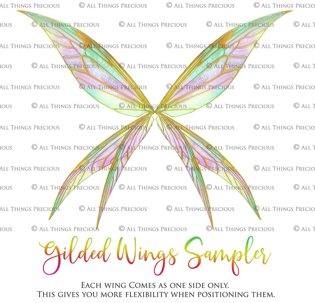 Digital Overlays for Photographers, Graphic design, scrapbooking and creatives.. Fairy Wings. High resolution, fine art digital assets for creating fantasy art.  Png overlay with transparent background. Magical Edit. Png Photo editing art assets.