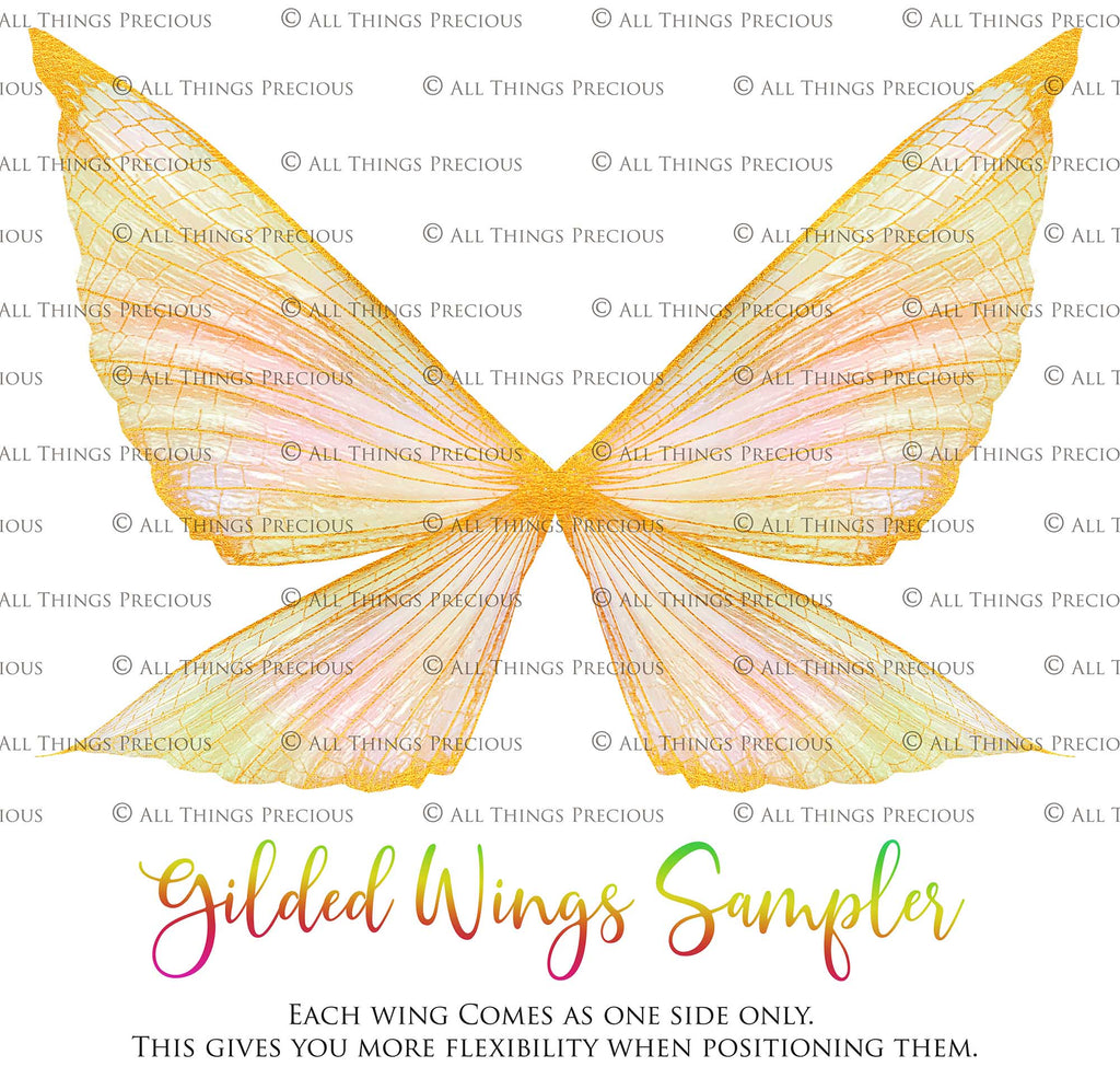 Digital Overlays for Photographers, Graphic design, scrapbooking and creatives.. Fairy Wings. High resolution, fine art digital assets for creating fantasy art.  Png overlay with transparent background. Magical Edit. Png Photo editing art assets.