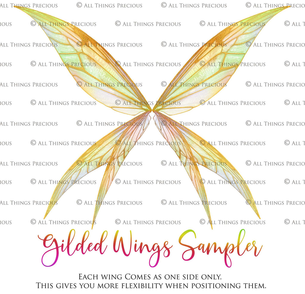 Digital Overlays for Photographers, Graphic design, scrapbooking and creatives.. Fairy Wings. High resolution, fine art digital assets for creating fantasy art.  Png overlay with transparent background. Magical Edit. Png Photo editing art assets.