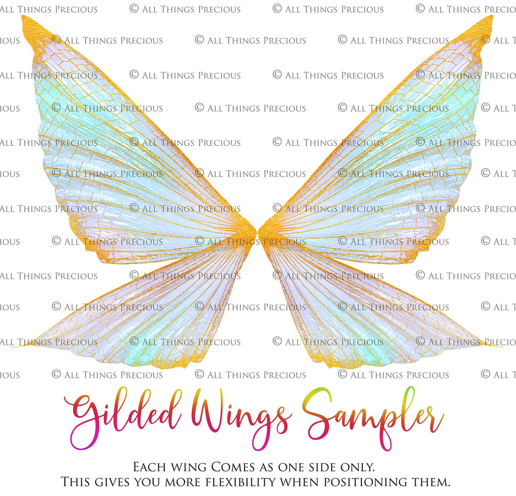 Digital Overlays for Photographers, Graphic design, scrapbooking and creatives.. Fairy Wings. High resolution, fine art digital assets for creating fantasy art.  Png overlay with transparent background. Magical Edit. Png Photo editing art assets.