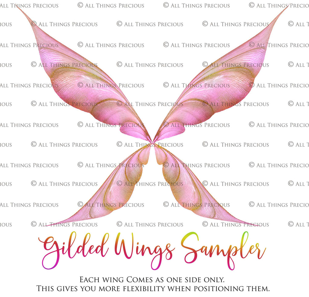 Digital Overlays for Photographers, Graphic design, scrapbooking and creatives.. Fairy Wings. High resolution, fine art digital assets for creating fantasy art.  Png overlay with transparent background. Magical Edit. Png Photo editing art assets.