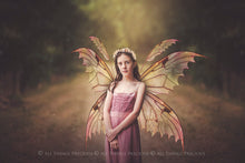 Load image into Gallery viewer, 20 Png FAIRY WING Overlays Set 26
