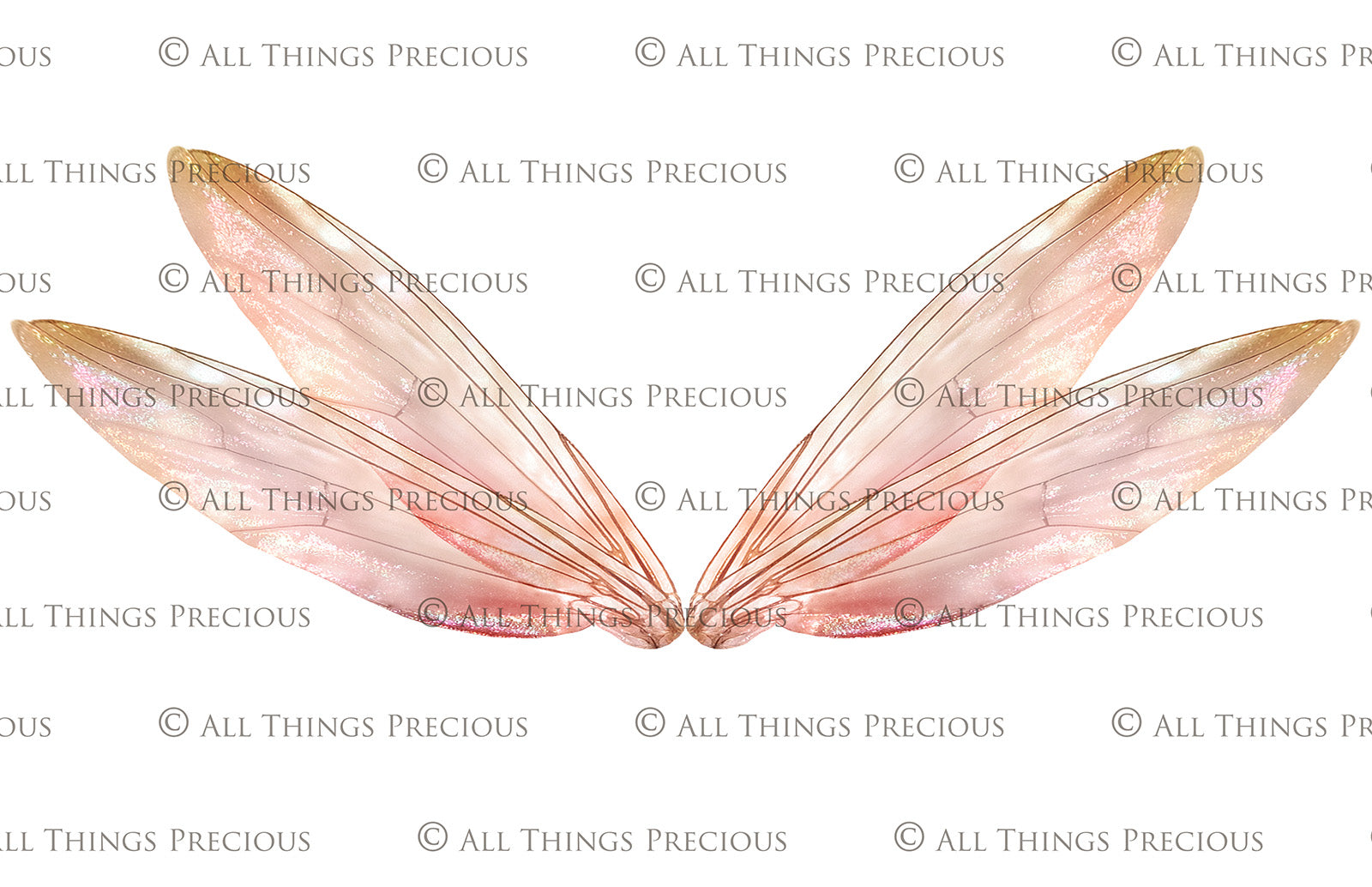 Digital Faery Wing Overlays. Png overlays for photoshop. Photography editing. High resolution, 300dpi fairy wings. Overlays for photography. Digital stock and resources. Graphic design. Fairy Photos. Colourful Fairy wings. Faerie Wings. ATP Textures. Overlays. Actions, Textures, Photo Resources, Photoshop. 