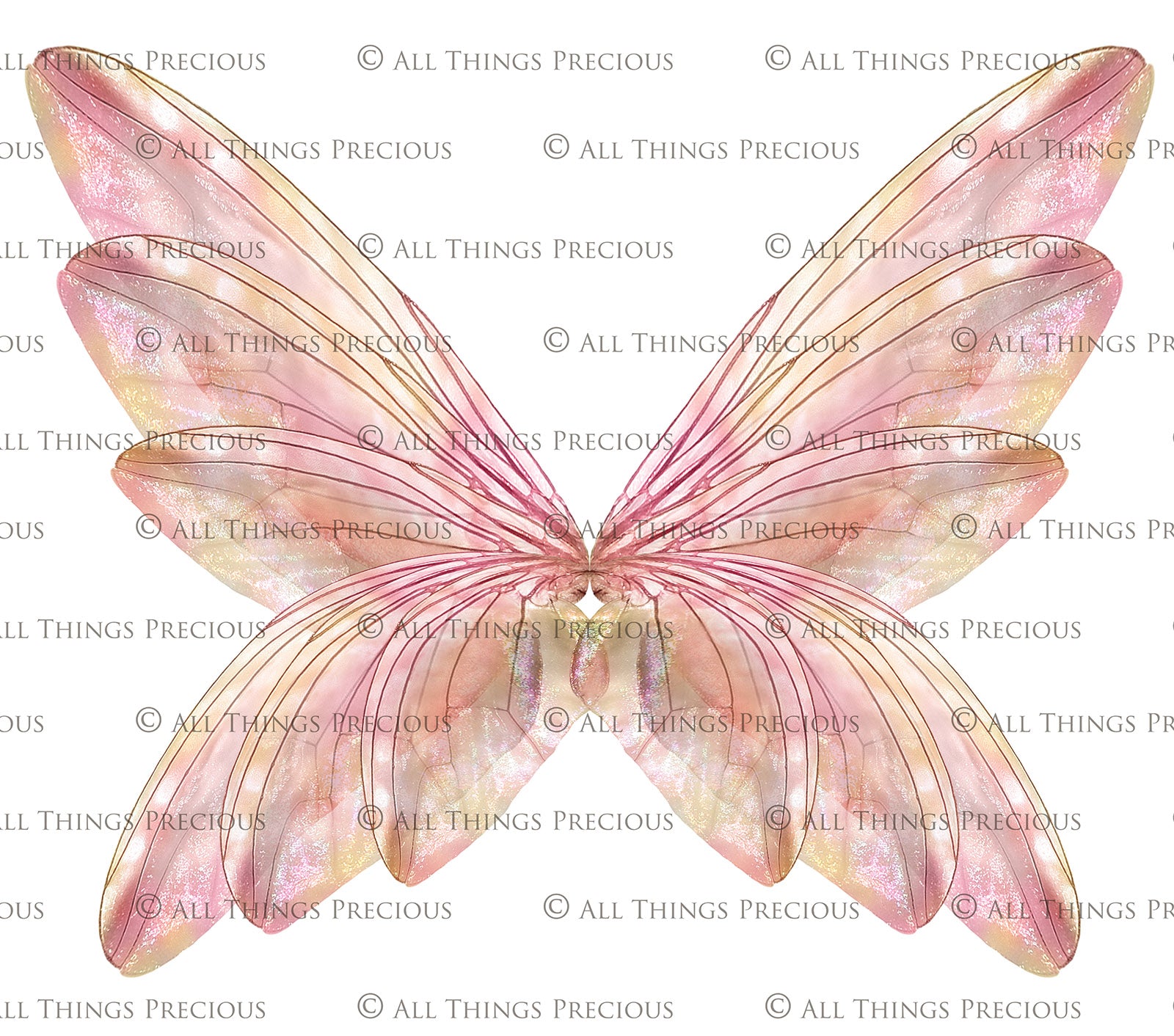 Digital Faery Wing Overlays. Png overlays for photoshop. Photography editing. High resolution, 300dpi fairy wings. Overlays for photography. Digital stock and resources. Graphic design. Fairy Photos. Colourful Fairy wings. Faerie Wings. ATP Textures. Overlays. Actions, Textures, Photo Resources, Photoshop. 