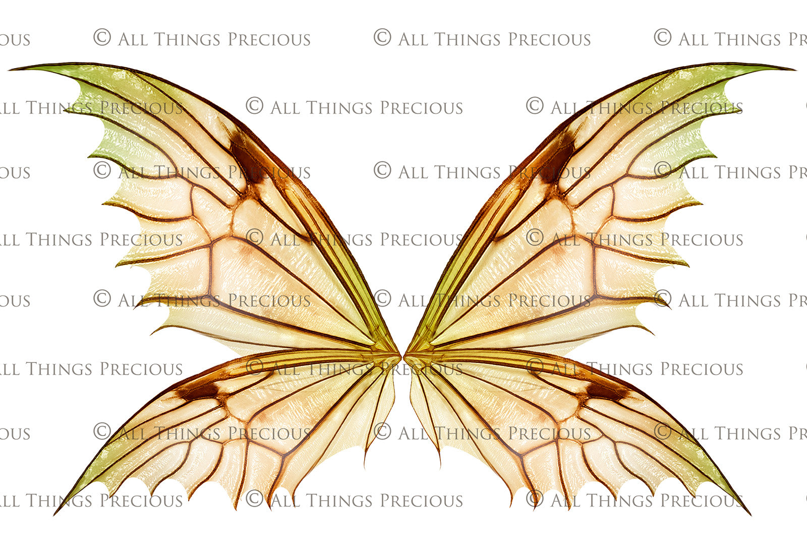 Digital Faery Wing Overlays. Png overlays for photoshop. Photography editing. High resolution, 300dpi fairy wings. Overlays for photography. Digital stock and resources. Graphic design. Fairy Photos. Colourful Fairy wings. Faerie Wings. ATP Textures. Overlays. Actions, Textures, Photo Resources, Photoshop. 
