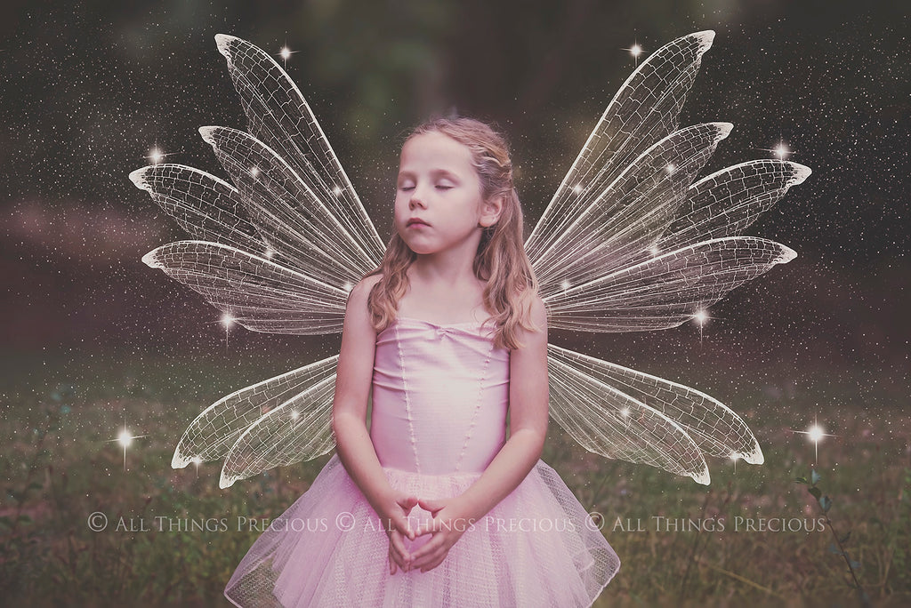 Digital Faery Wing Overlays! Fairy wings, Png overlays for photoshop. Photography editing. High resolution, 300dpi fairy wings. Overlays for photography. Digital stock and resources. Graphic design. Fairy Photos. Colourful Fairy wings. Faerie Wings.