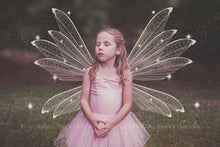 Load image into Gallery viewer, Digital Faery Wing Overlays! Fairy wings, Png overlays for photoshop. Photography editing. High resolution, 300dpi fairy wings. Overlays for photography. Digital stock and resources. Graphic design. Fairy Photos. Colourful Fairy wings. Faerie Wings.

