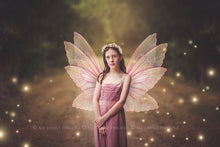 Load image into Gallery viewer, 20 Png FAIRY WINGS Overlays Set 16
