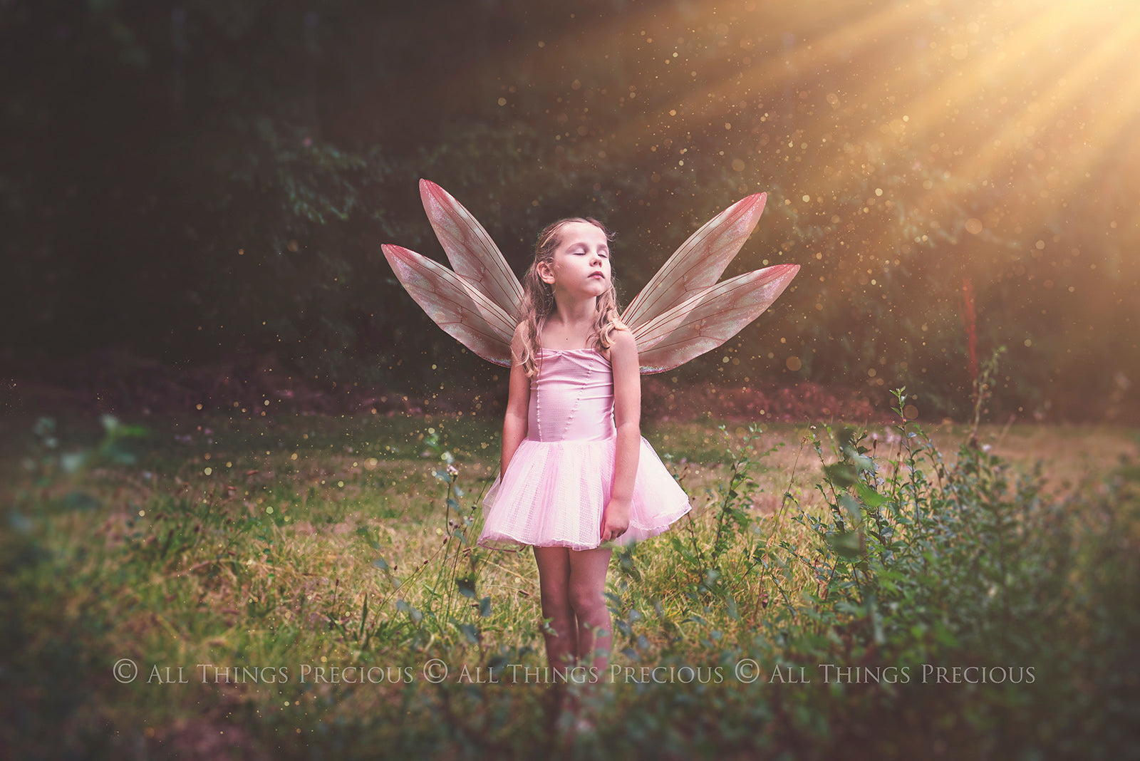 Digital Faery Wing Overlays. Png overlays for photoshop. Photography editing. High resolution, 300dpi fairy wings. Overlays for photography. Digital stock and resources. Graphic design. Fairy Photos. Colourful Fairy wings. Faerie Wings. ATP Textures. Overlays. Actions, Textures, Photo Resources, Photoshop. 