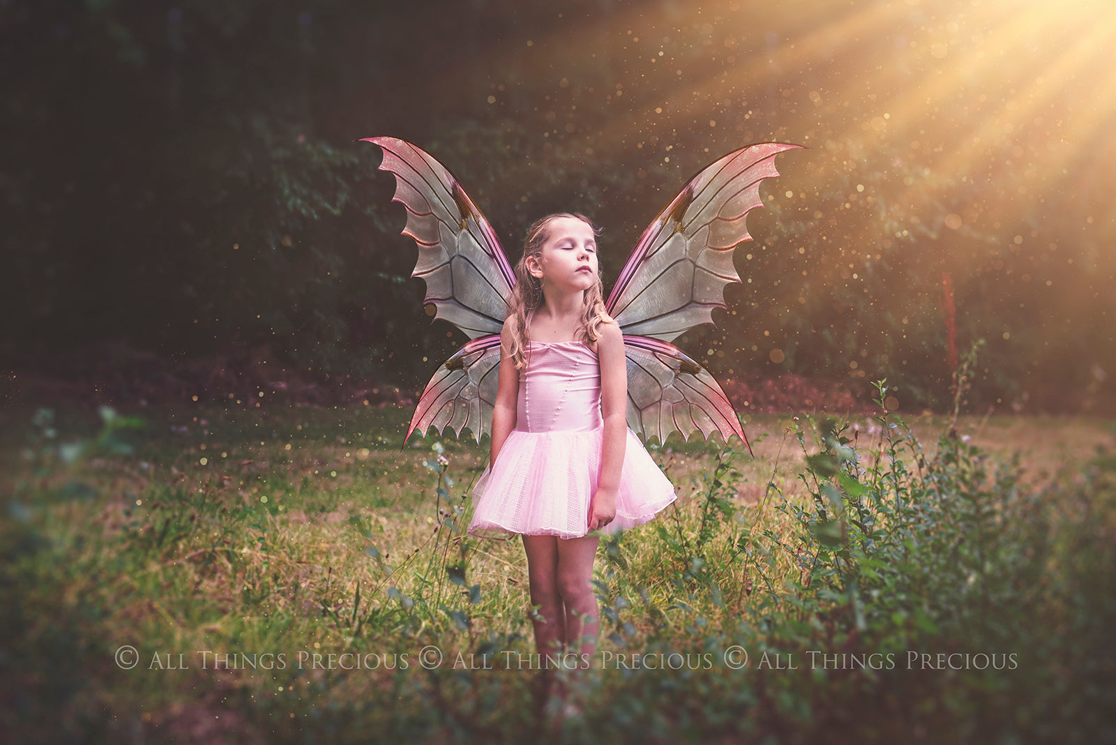 Digital Faery Wing Overlays. Png overlays for photoshop. Photography editing. High resolution, 300dpi fairy wings. Overlays for photography. Digital stock and resources. Graphic design. Fairy Photos. Colourful Fairy wings. Faerie Wings. ATP Textures. Overlays. Actions, Textures, Photo Resources, Photoshop. 