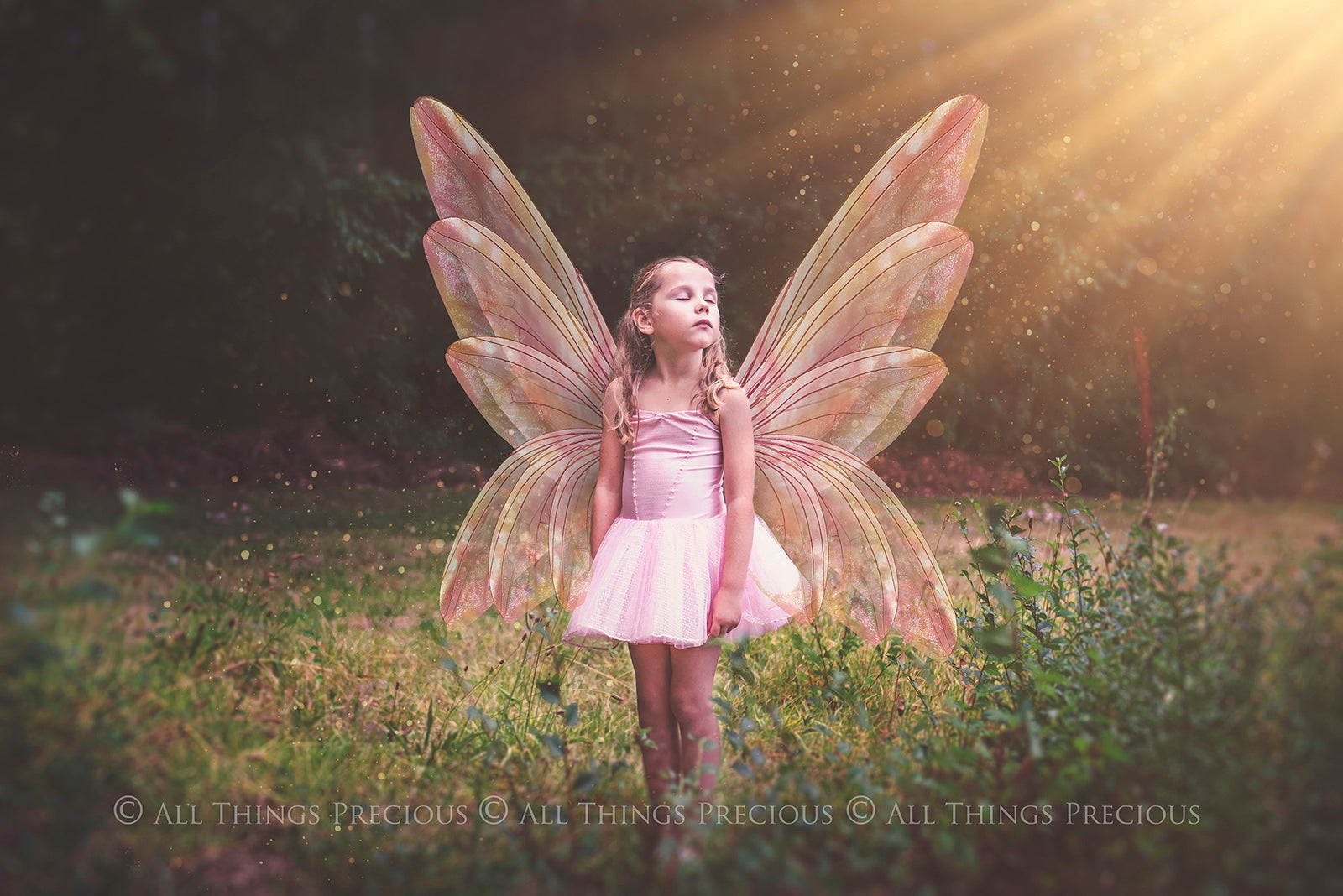 Digital Faery Wing Overlays. Png overlays for photoshop. Photography editing. High resolution, 300dpi fairy wings. Overlays for photography. Digital stock and resources. Graphic design. Fairy Photos. Colourful Fairy wings. Faerie Wings. ATP Textures. Overlays. Actions, Textures, Photo Resources, Photoshop. 
