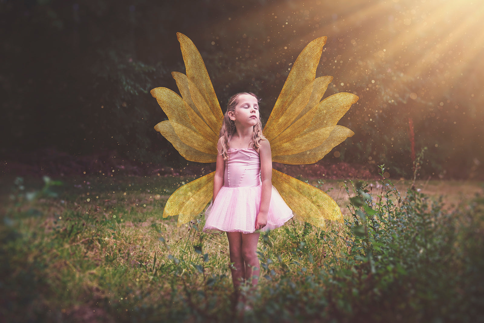 Digital Faery Wing Overlays! Fairy wings, Png overlays for photoshop. Photography editing. High resolution, 300dpi fairy wings. Overlays for photography. Digital stock and resources. Graphic design. Fairy Photos. Colourful Fairy wings. Faerie Wings.