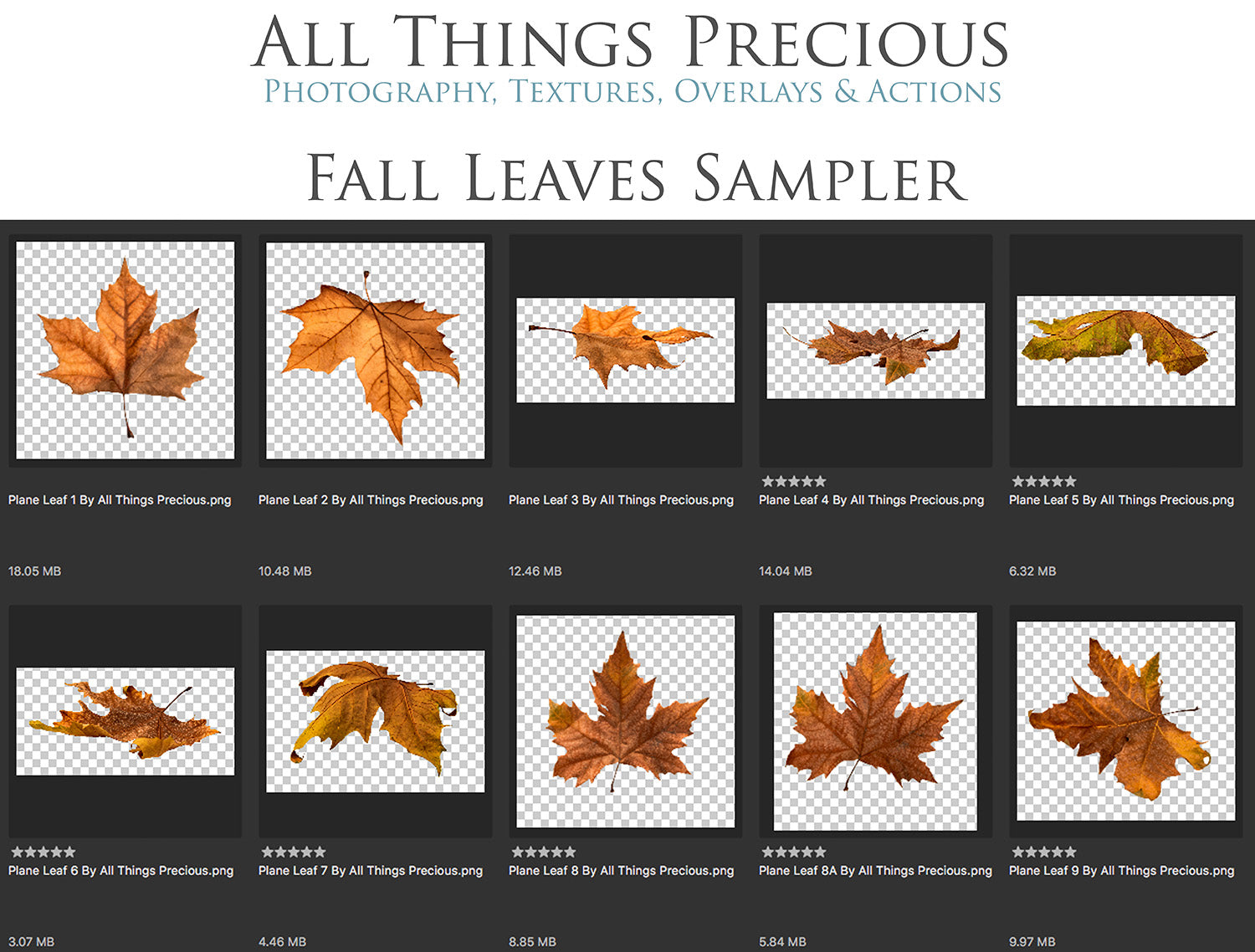 60 Leaf overlays for photography and digital scrapbooking. High resolution, leaves, autumn overlays, fall overlay, photo overlays by ATP textures.
