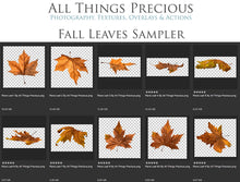 Load image into Gallery viewer, 60 Leaf overlays for photography and digital scrapbooking. High resolution, leaves, autumn overlays, fall overlay, photo overlays by ATP textures.
