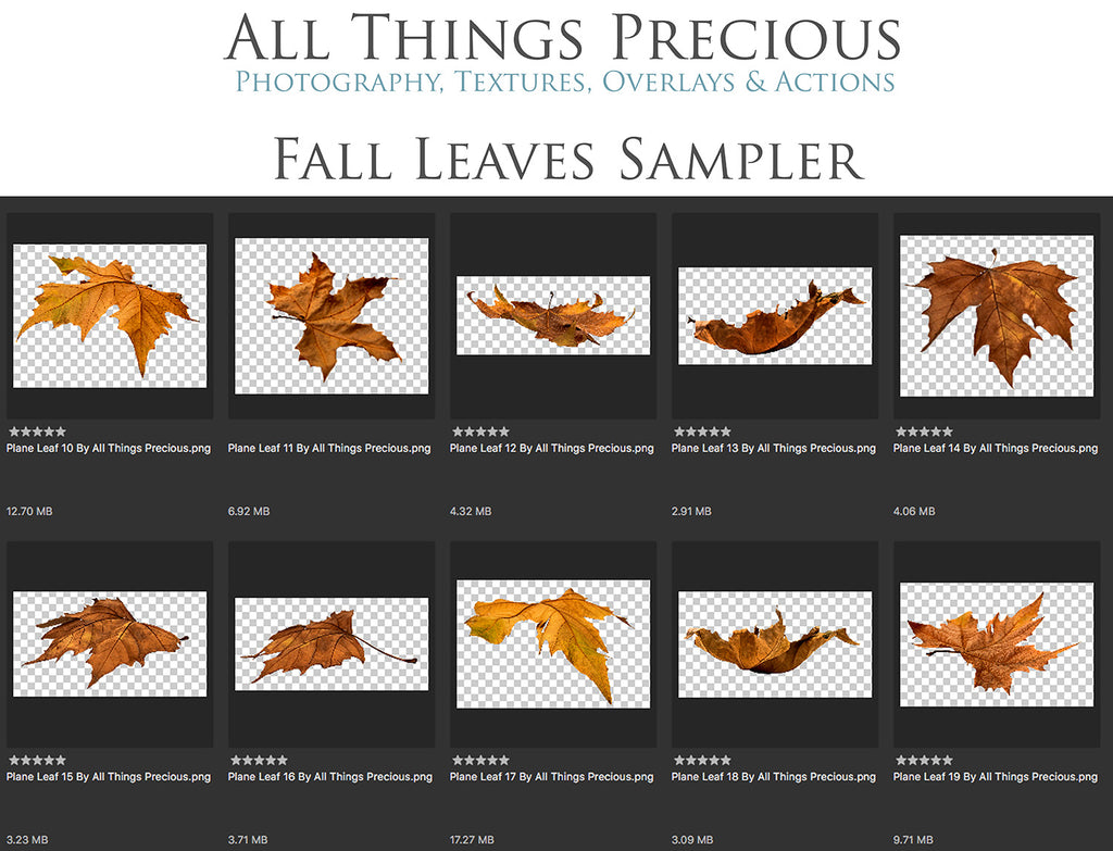 60 Leaf overlays for photography and digital scrapbooking. High resolution, leaves, autumn overlays, fall overlay, photo overlays by ATP textures.