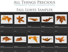 Load image into Gallery viewer, 60 Leaf overlays for photography and digital scrapbooking. High resolution, leaves, autumn overlays, fall overlay, photo overlays by ATP textures.
