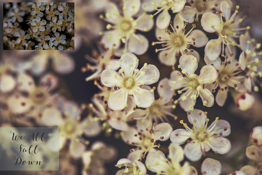 ATP Textures