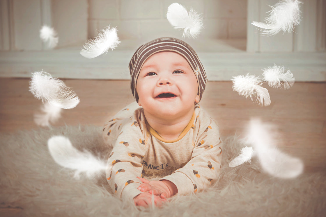 Floaty feather PS brushes for photography and digital design. Digital Stamps for scrapbooking, photoshop and graphic design. Realistic photography. Assets and Add ons. High resolution. ATP Textures