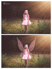 Load image into Gallery viewer, 25 Png FILIGREE FAIRY WING Overlays - Set 2
