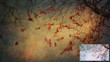 Load image into Gallery viewer, 10 FINE ART TEXTURES - Set 24
