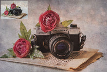 Load image into Gallery viewer, 10 Fine Art TEXTURES - LIGHT Set 8
