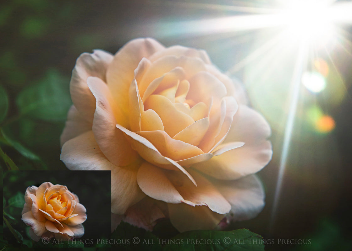 Lens flare, Sun flare overlays for photography, sunlight, light beams for summer sunshine photos. Photoshop, Digital scrapbooking. Transparent, high resolution files for photographers. Glowing overlays for fantasy digital art, Child portraiture. Digital download. Graphic effects. ATP Textures