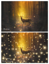 Load image into Gallery viewer, FAIRY WING &amp; OVERLAYS BUNDLE - GOLDEN - Set 8
