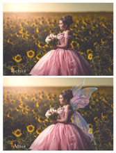 Load image into Gallery viewer, 20 Png FAIRY WING Overlays Set 43
