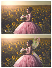 Load image into Gallery viewer, 20 Png FAIRY WING Overlays Set 43
