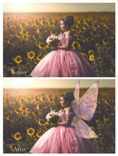 Load image into Gallery viewer, 20 Png FAIRY WING Overlays Set 43
