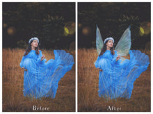 Load image into Gallery viewer, 20 Png FAIRY WING Overlays Set 44
