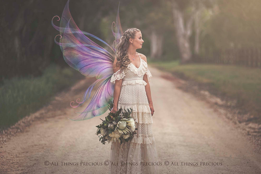 Digital Fairy Wings Overlays clipart. Png transparent see through files for photoshop. Butterfly Angel, Color, Print Photography editing. High resolution, 300dpi. Printable, Photography Graphic design assets, add on stock resources. Magical Scrapbooking design. Faery Photographer edit. Colorful Big Bundle. ATP Textures