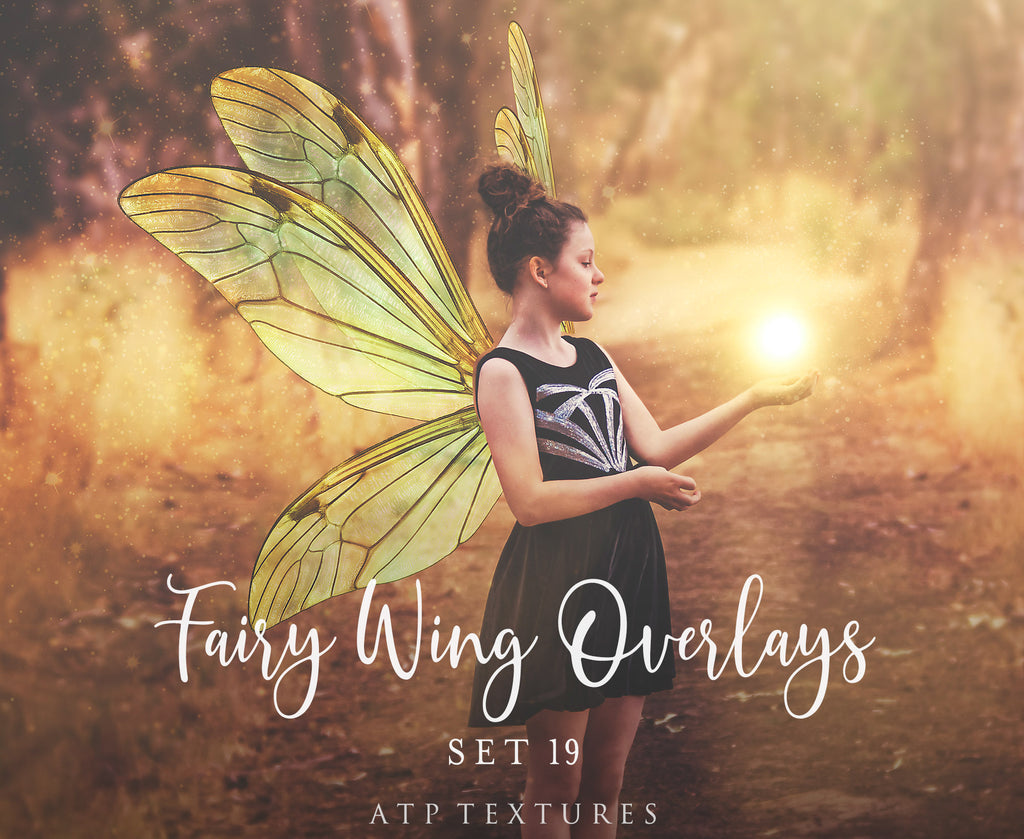 Digital Faery Wing Overlays. Png overlays for photoshop. Photography editing. High resolution, 300dpi fairy wings. Overlays for photography. Digital stock and resources. Graphic design. Fairy Photos. Colourful Fairy wings. Faerie Wings. ATP Textures. Overlays. Actions, Textures, Photo Resources, Photoshop. 