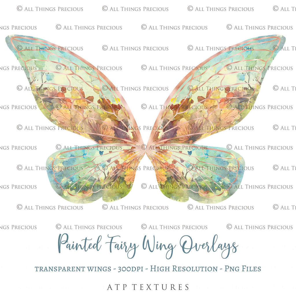 Fairy Wings Overlays For Photography, Photoshop, Digital art and Creatives. Transparent, high resolution wings for photographers. These are gorgeous PNG overlays for fantasy digital art and Child portraiture. colour, White fairy wings. Photo Overlays. Digital download. Graphic effects. ATP Textures