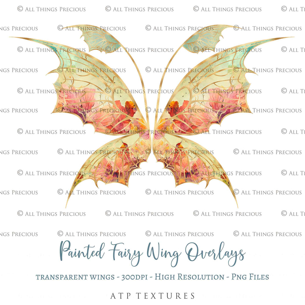 Fairy Wings Overlays For Photography, Photoshop, Digital art and Creatives. Transparent, high resolution wings for photographers. These are gorgeous PNG overlays for fantasy digital art and Child portraiture. colour, White fairy wings. Photo Overlays. Digital download. Graphic effects. ATP Textures