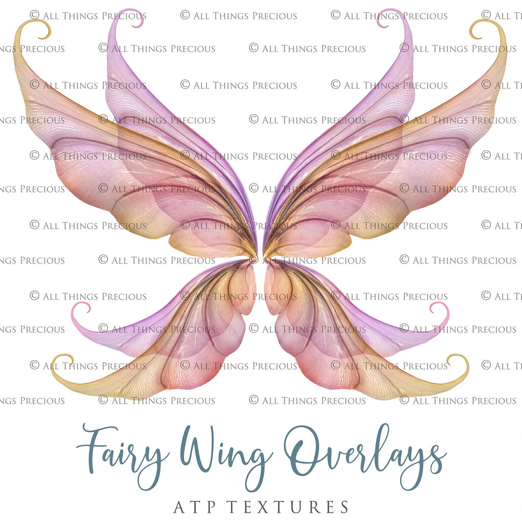 Fairy wings, Png overlays for photoshop. Photography editing. High resolution, 300dpi fairy wings. Overlays for photography. Digital stock and resources. Graphic design. Fairy Photos. Colourful Fairy wings. Faerie Wings.