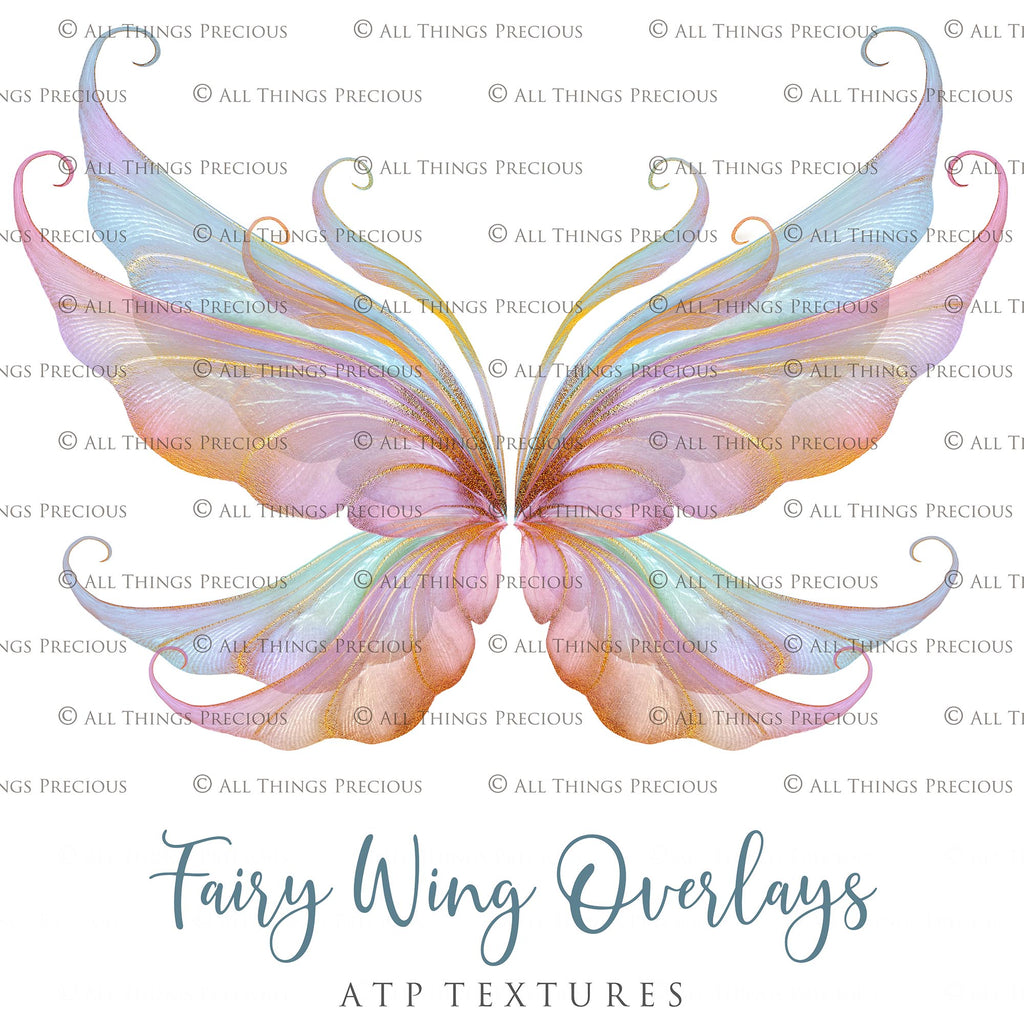 Fairy wings, Png overlays for photoshop. Photography editing. High resolution, 300dpi fairy wings. Overlays for photography. Digital stock and resources. Graphic design. Fairy Photos. Colourful Fairy wings. Faerie Wings.