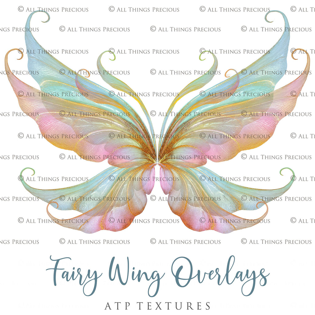 Fairy Wings Overlays For Photography, Photoshop, Digital art and Creatives. Transparent, high resolution wings for photographers. These are gorgeous PNG overlays for fantasy digital art and Child portraiture. colour, White fairy wings. Photo Overlays. Digital download. Graphic effects. ATP Textures