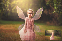 Load image into Gallery viewer, 30 Png RAINBOW FAIRY WING Overlays - SILVER
